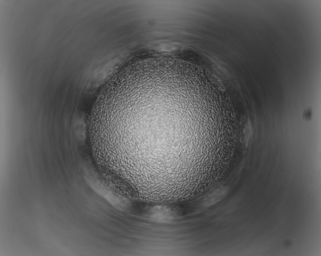 X0000116840562200912181500