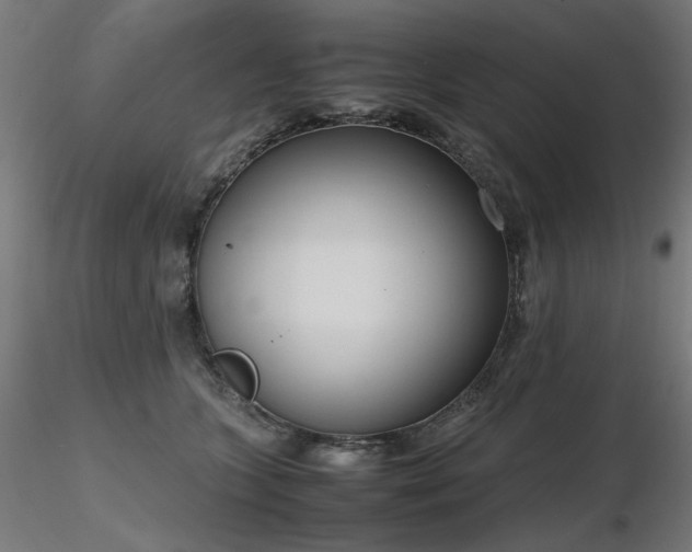 X0000116840563200912181500