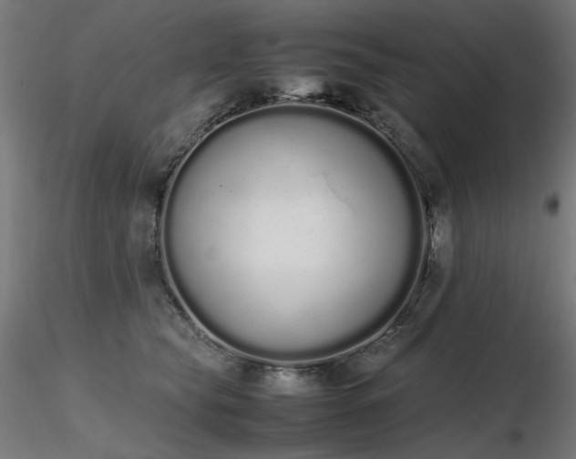 X0000116840565200912181500