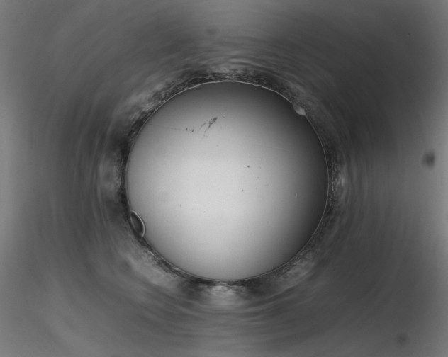 X0000116840566200912181500