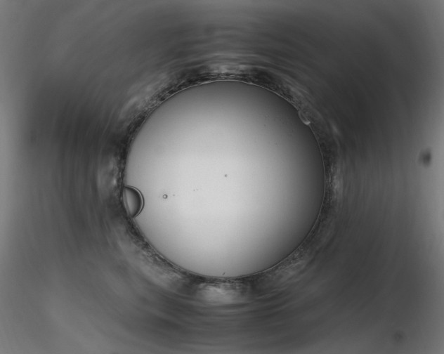 X0000116840567200912181500