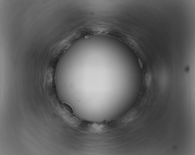 X0000116840570200912181500