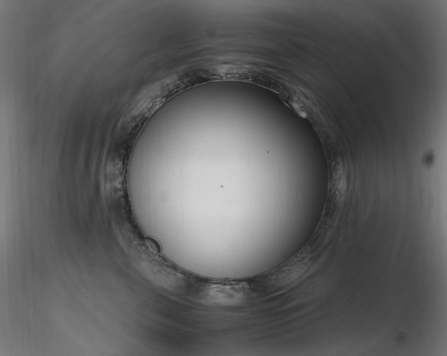 X0000116840571200912181500