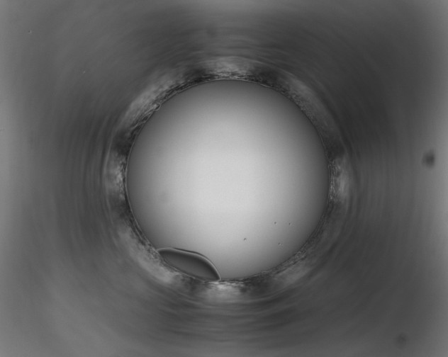 X0000116840573200912181500