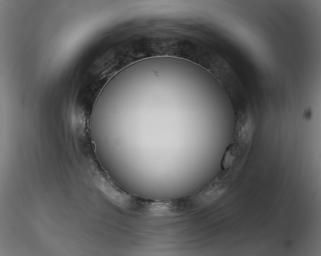 X0000116840574200912181500
