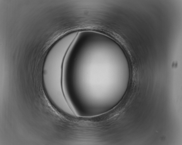 X0000116840577200912181459