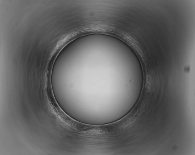 X0000116840578200912181459