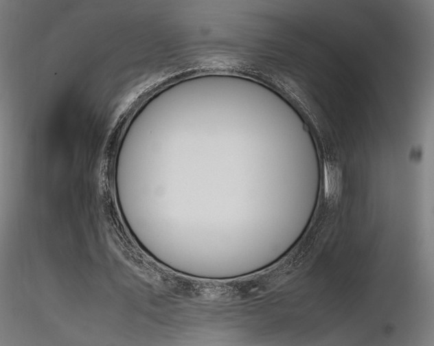 X0000116840579200912181459
