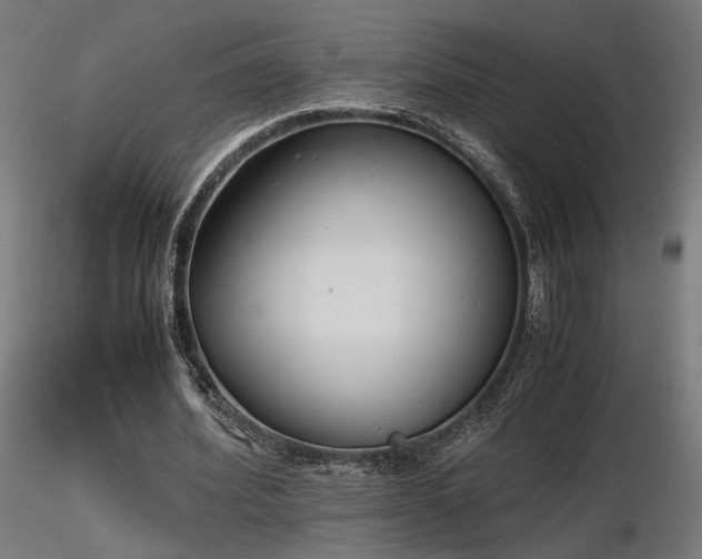 X0000116840580200912181459
