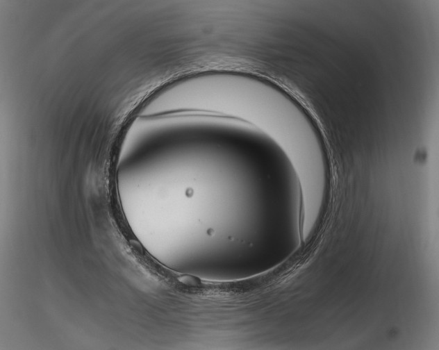 X0000116840581200912181459