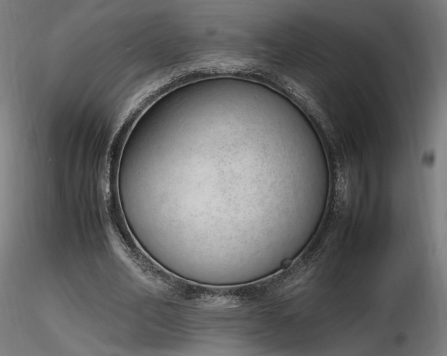 X0000116840582200912181459