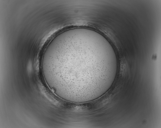 X0000116840584200912181459