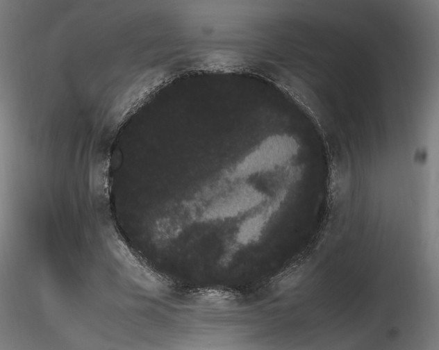 X0000116840585200912181459