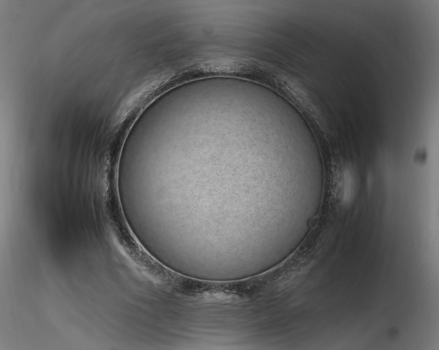 X0000116840586200912181459