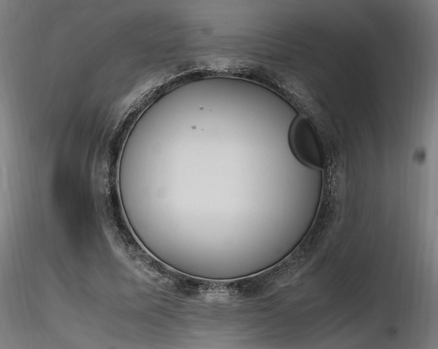 X0000116840587200912181459