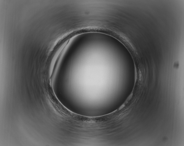 X0000116840588200912181459