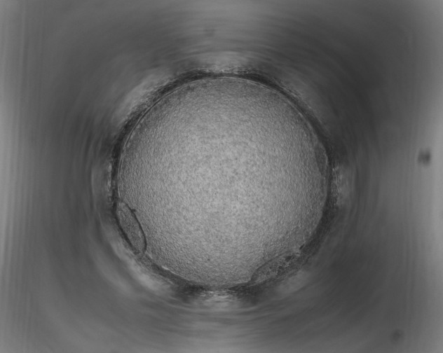 X0000116840589200912181459