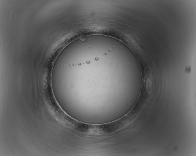 X0000116840591200912181459