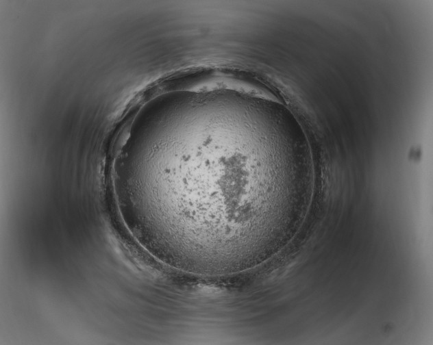 X0000116840592200912181459