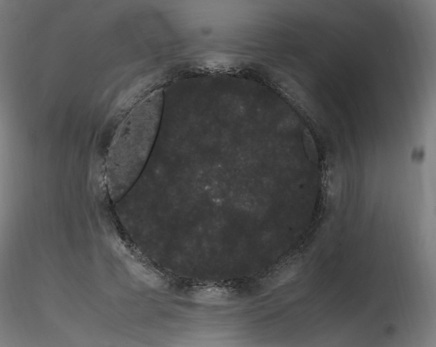 X0000116840593200912181459
