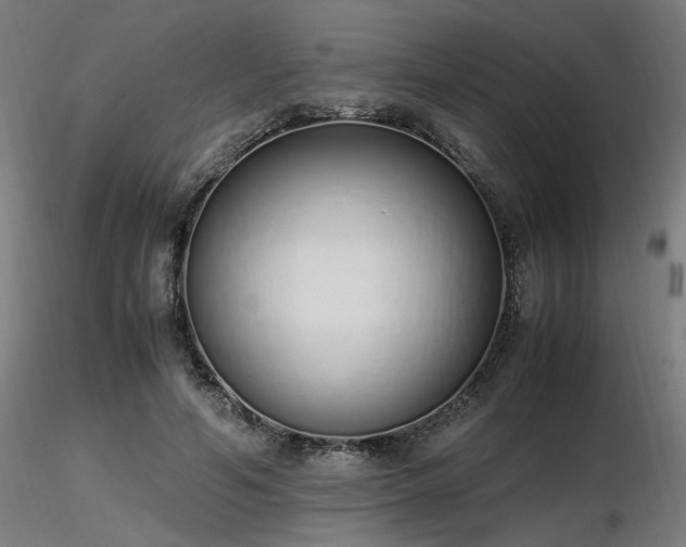 X0000116840594200912181459