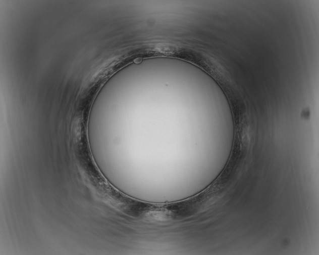 X0000116840595200912181459