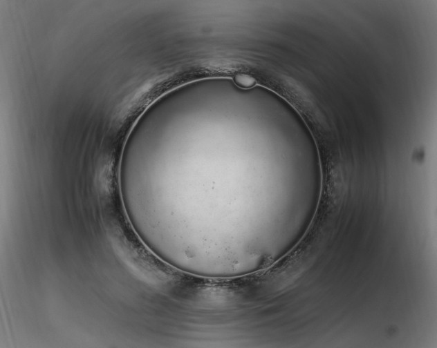 X0000116840596200912181459