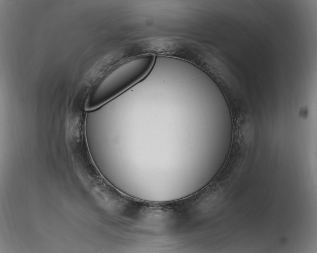 X0000116840597200912181459