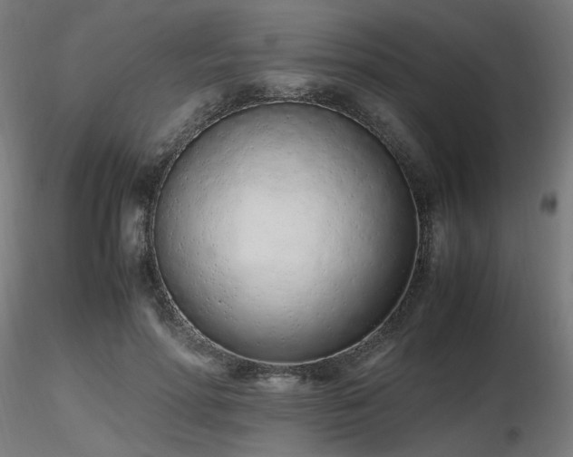 X0000116840598200912181459