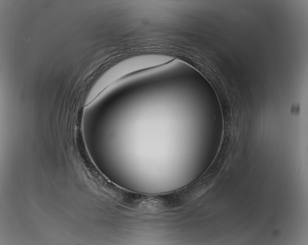 X0000116840599200912181459