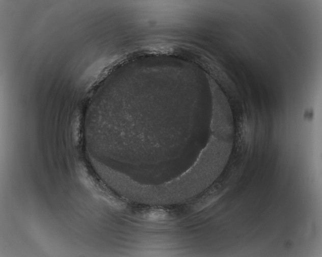X0000116840600200912181459