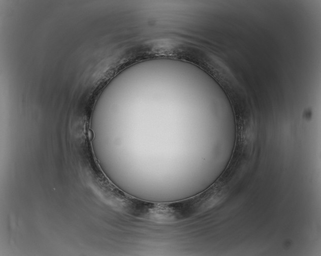 X0000116840603200912181459