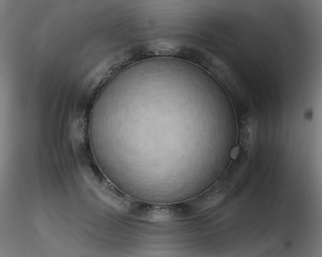 X0000116840604200912181459