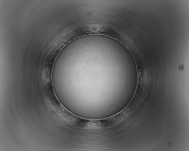 X0000116840606200912181459