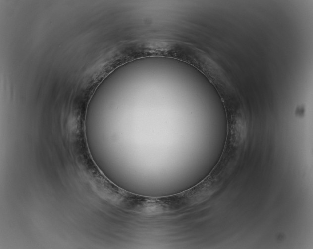 X0000116840608200912181459
