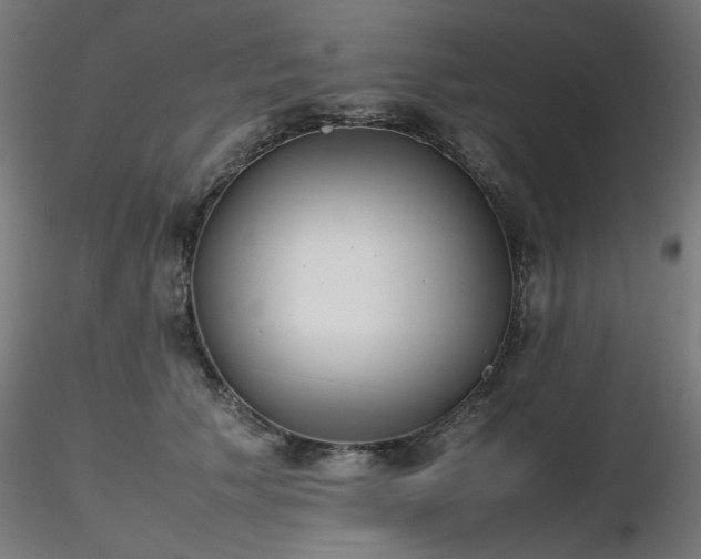 X0000116840609200912181459