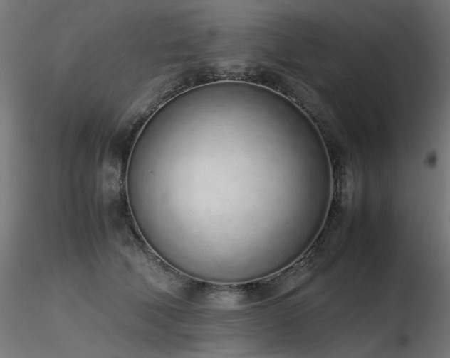 X0000116840610200912181459