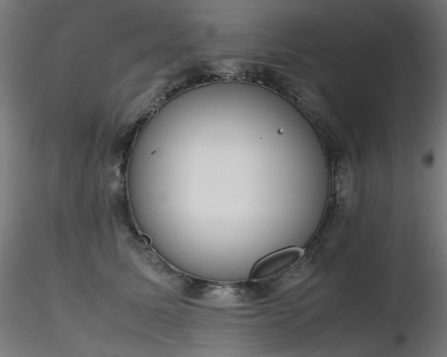 X0000116840611200912181459