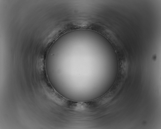 X0000116840612200912181459