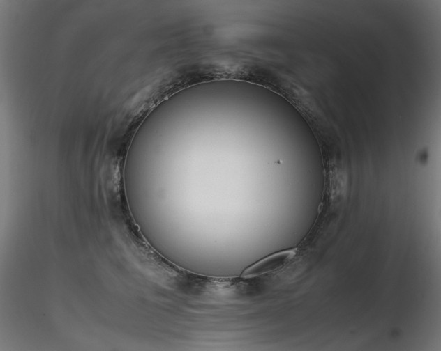 X0000116840613200912181459