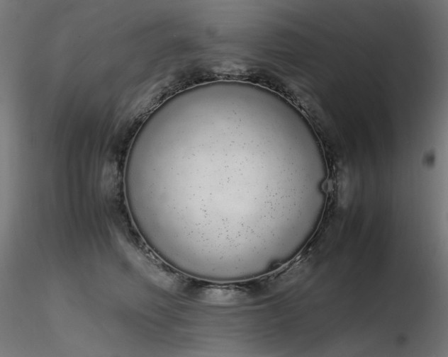 X0000116840614200912181459
