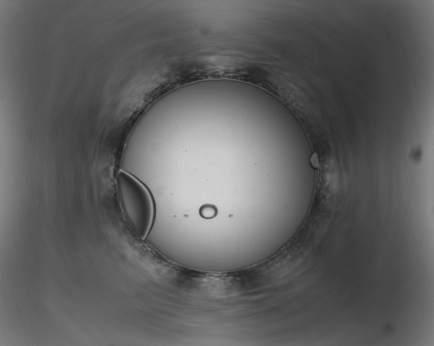 X0000116840615200912181459