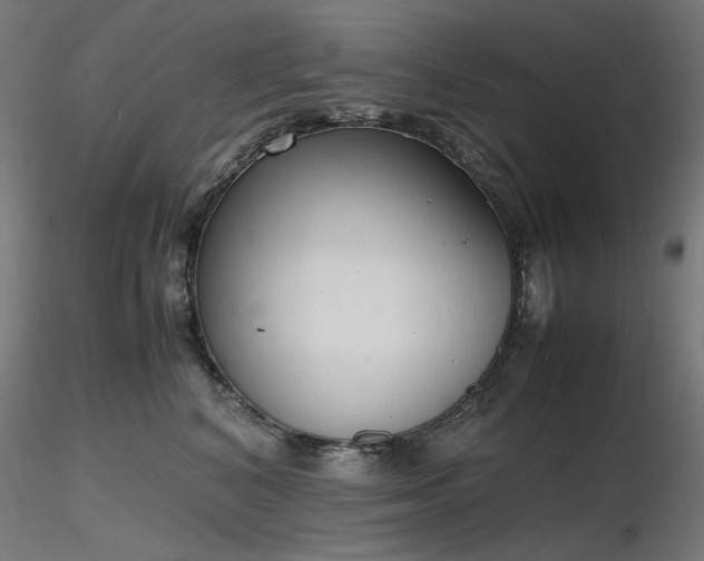 X0000116840616200912181459