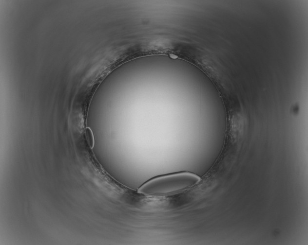 X0000116840617200912181459