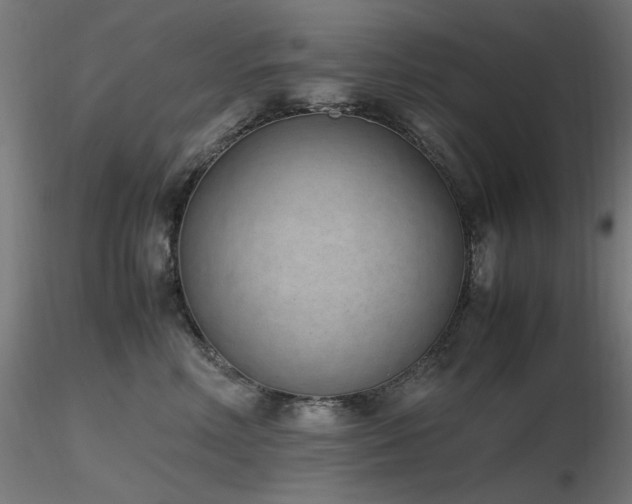 X0000116840618200912181459
