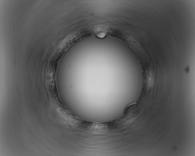 X0000116840619200912181459