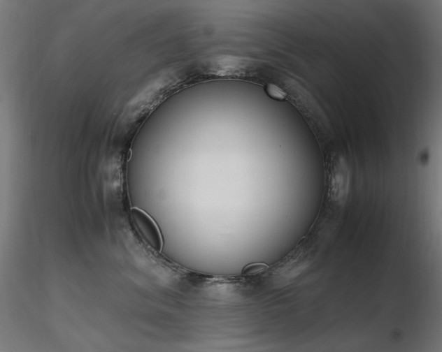 X0000116840620200912181459