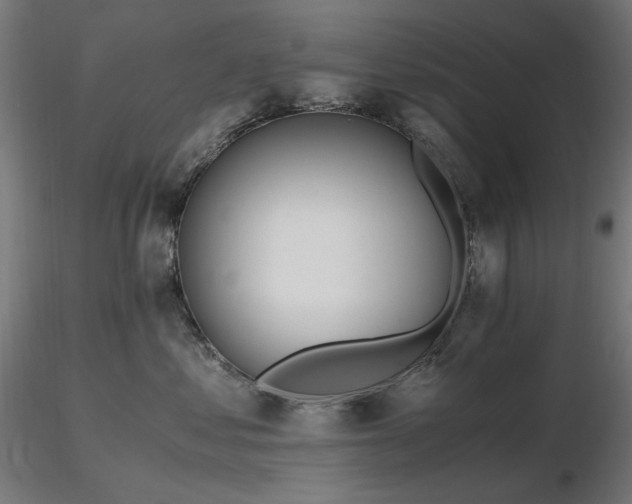 X0000116840621200912181459