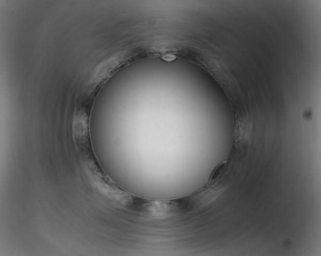X0000116840623200912181459