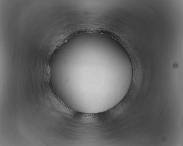 X0000116840624200912181459